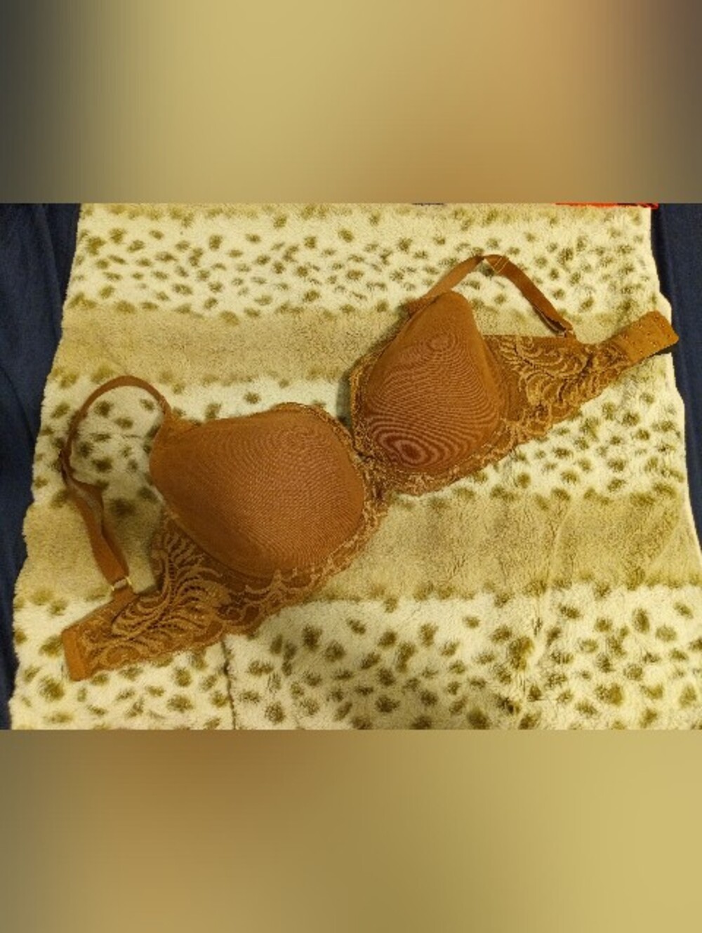 Natori "feathers" Plunge Bra 32G(US Size)